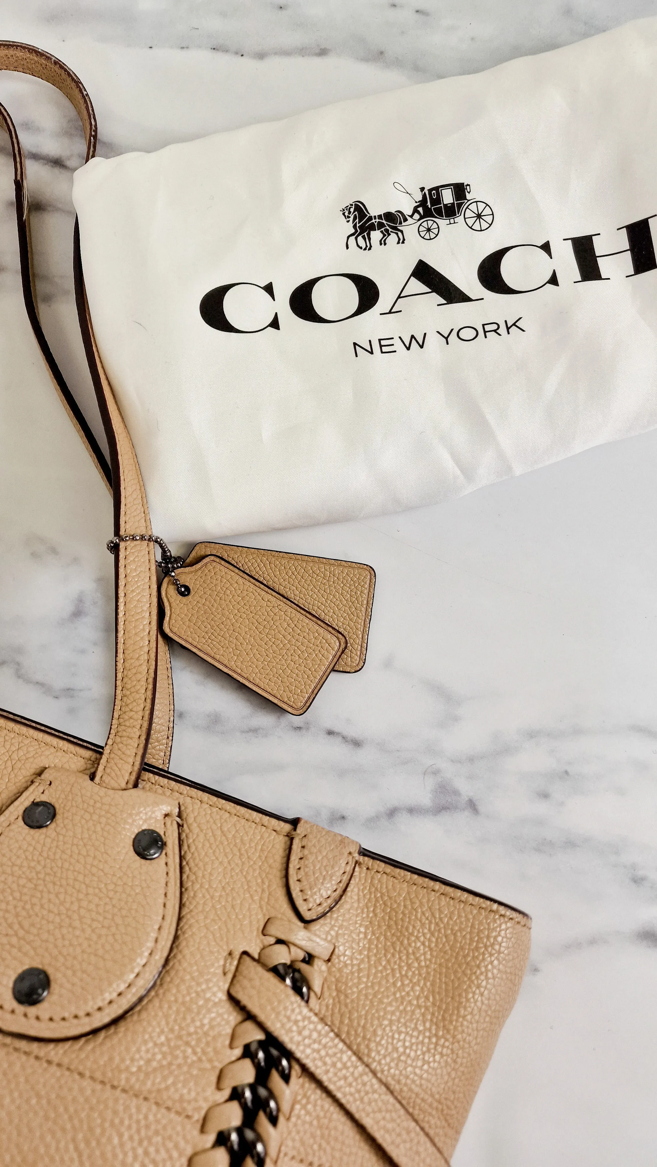 Coach Tatum Tote with Whiplash Chain Detail in Beechwood Beige Nude - Handbag Shoulder Bag - Coach 34398