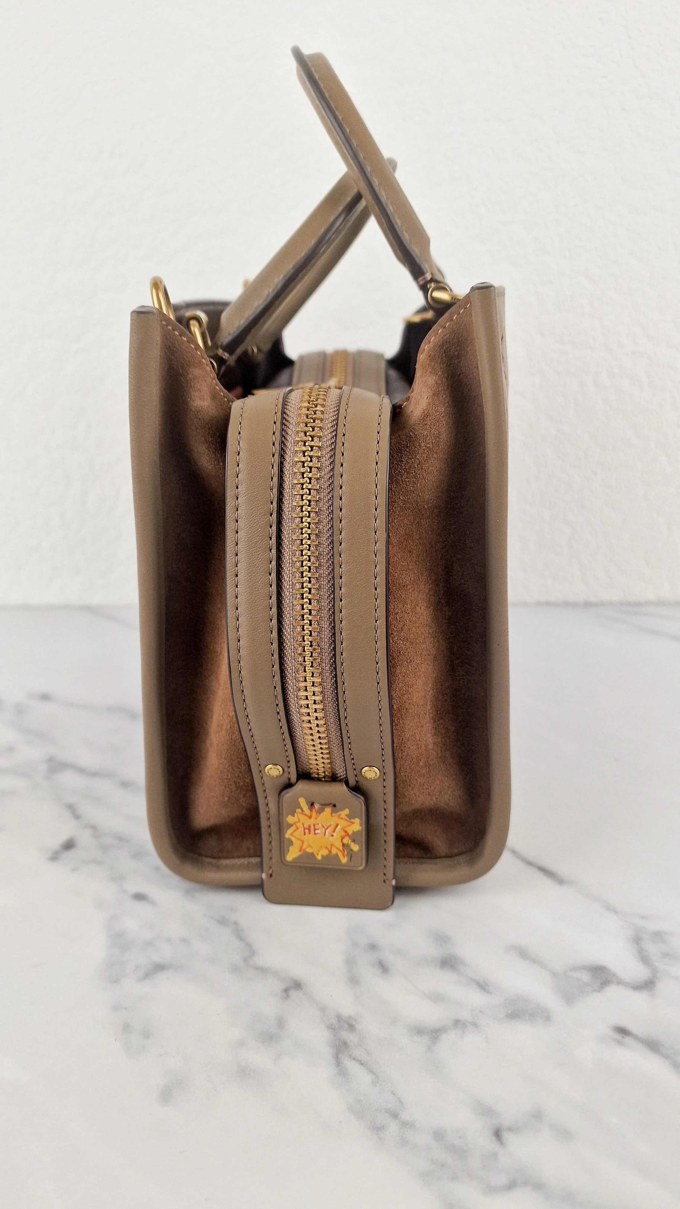 Coach x Jean-Michel Basquiat Rogue 25 Pez Dispenser Dinosaur Bag in Elm Leather & Suede - Handbag Crosbody Shoulder Bag in Taupe Beechwood Coach 6889