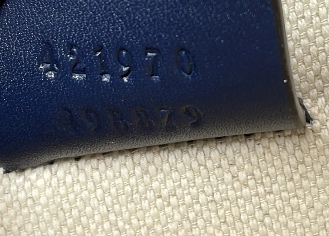 Dionysus Bag Embellished Leather Mini