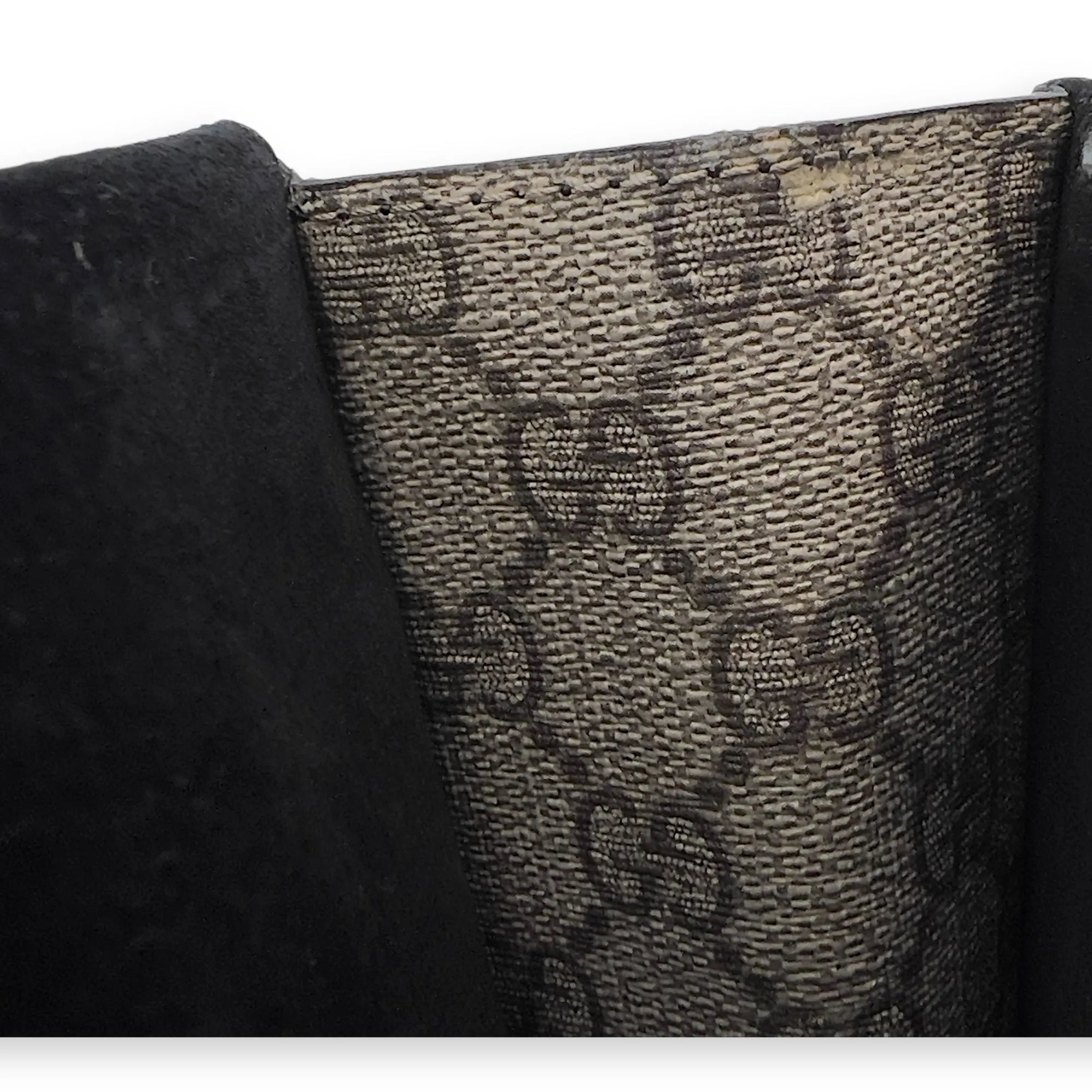 Dionysus Shoulder Bag Beige in Coated Canvas, Silver hardware