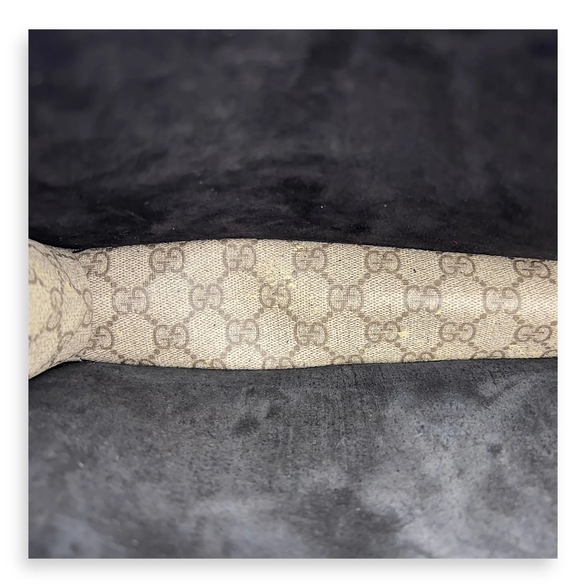 Dionysus Shoulder Bag Beige in Coated Canvas, Silver hardware